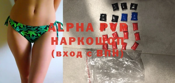 винт Бородино
